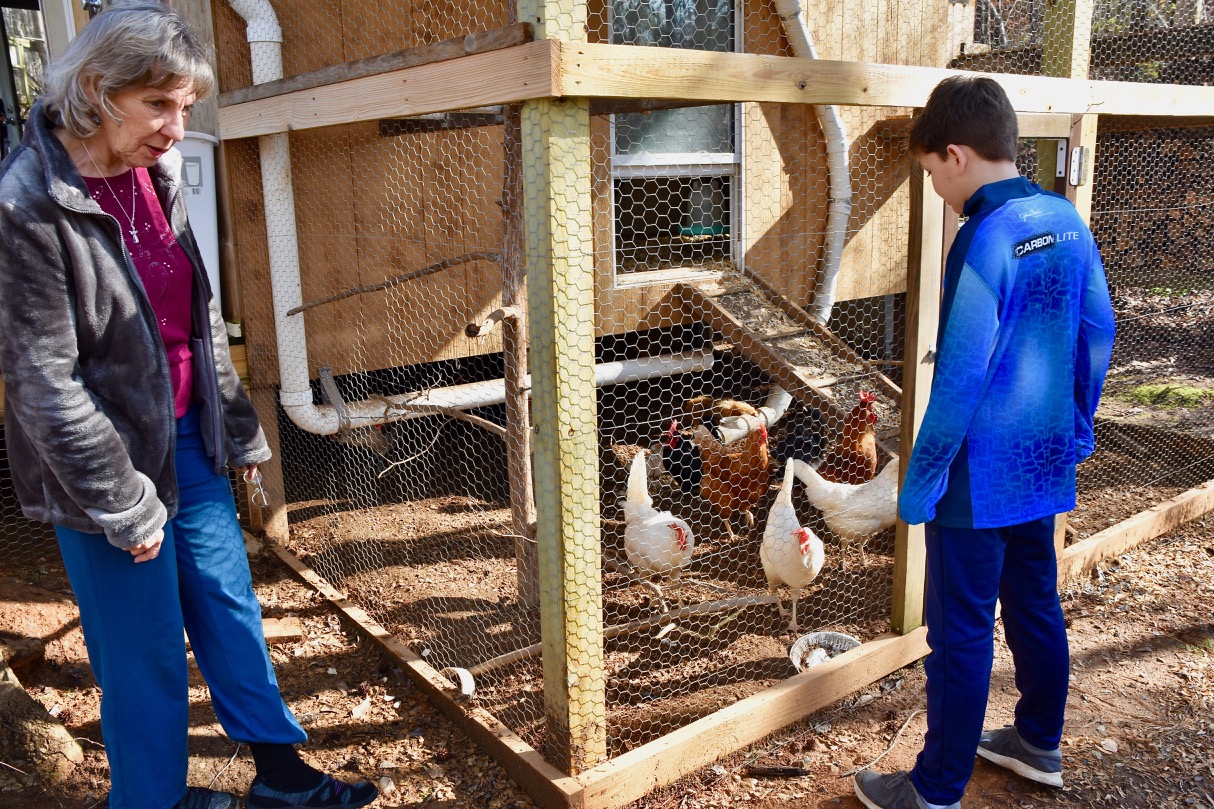 Scot built a cage for Kalebs Chickens